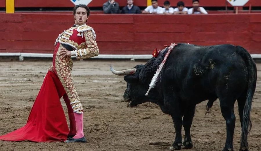 Der Stierkämpfer Andrés Roca Rey wurde am Dienstag bei einem Auftritt in Santiago, Spanien, schwer verletzt.