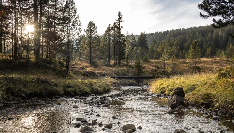 Der Kanton Obwalden kämpft mit Wildcampern, die trotz Verbot in der Moorlandschaft Glaubenberg übernachten.