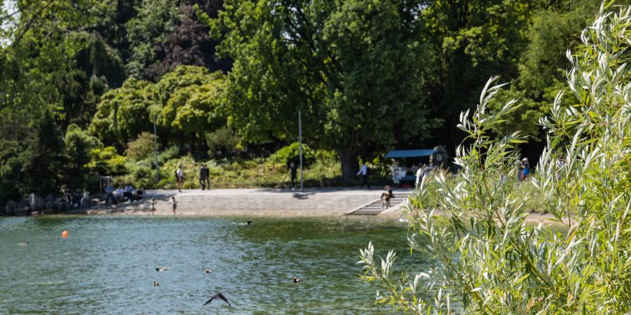 Seepromenade in der Stadt Zürich.