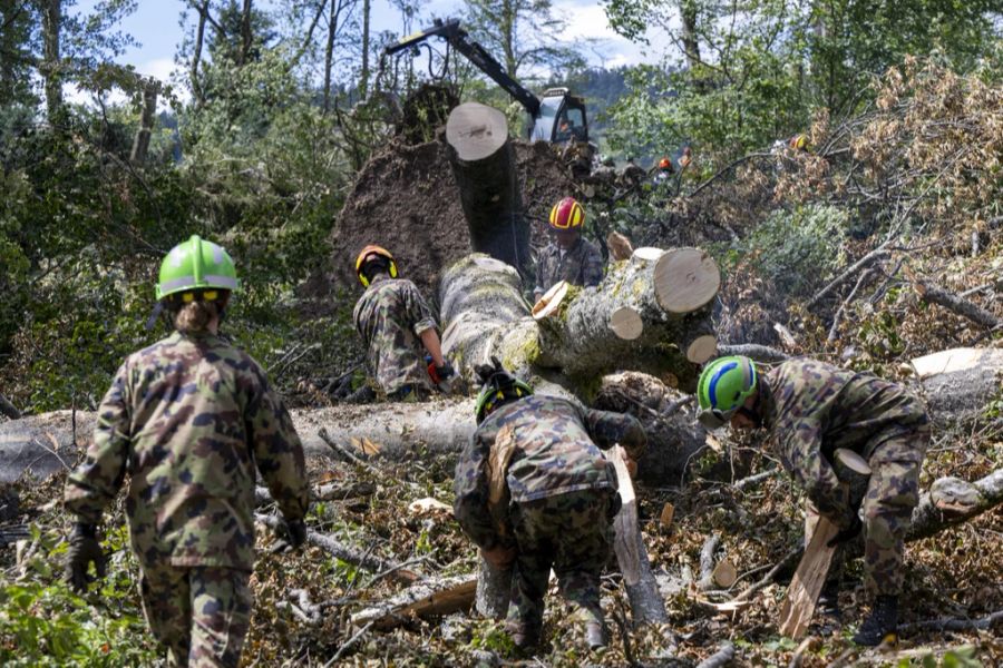 Der Sturm hat eine Waldfläche von 700 Hektaren in Mitleidenschaft gezogen.