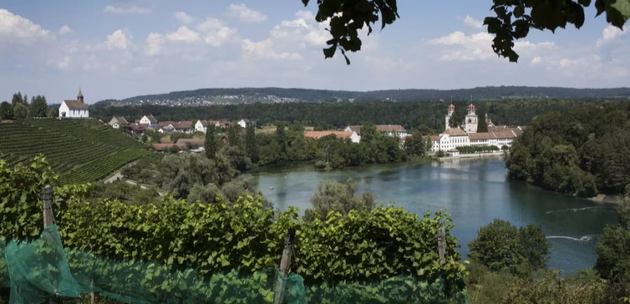 Rheinau Zürich Experiment spenden