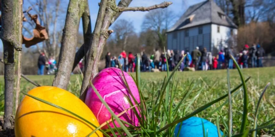 Bunte Eier im thüringischen Weimar