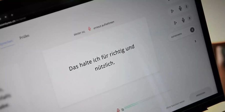 Manchmal ist es nötig, Hochdeutsch zu sprechen oder zu schreiben, damit es wirklich auch jeder versteht.