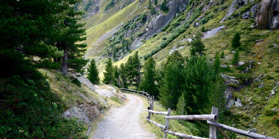 Wanderweg Felsen Nadelbäume Holzzaun