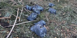 Bennau SZ - Abfall illegal im Wald entsorgt – Täter ermittelt