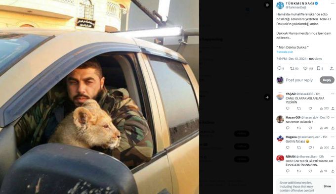 Seinen Löwen soll der skrupellose Soldat aus einem Zoo gestohlen haben. Assad Syrien