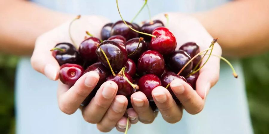 Dies macht den Anbau der Frucht für viele Landwirte unrentabel.