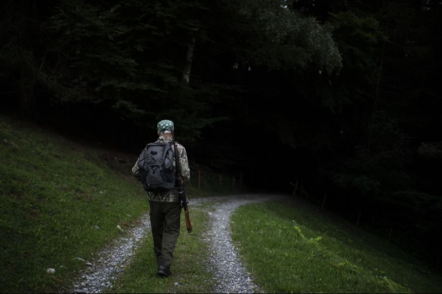 Jäger sollen die Tiere bei Sichtung erschiessen. (Symbolbild)