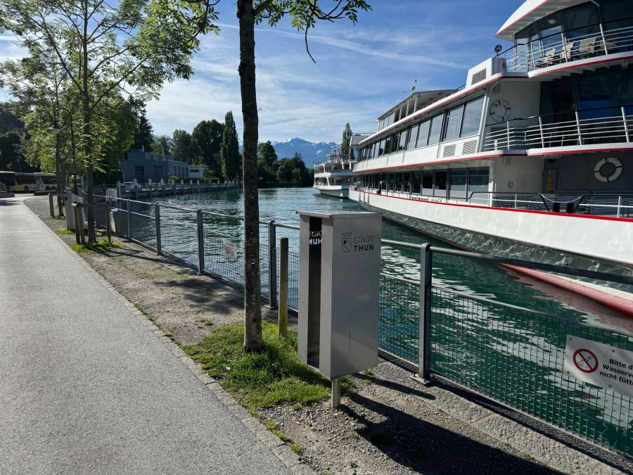Sammelbox Pizzaschachtel Thun