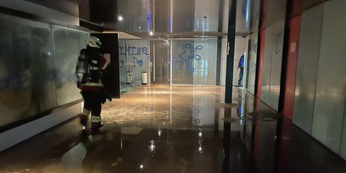 Châtel-St-Denis FR: Tierpraxis überflutet – acht Tiere evakuiert. Châtel-St-Denis FR