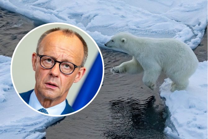 Merz Eisbär