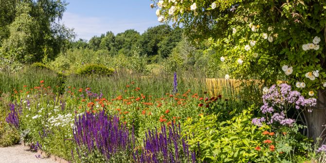 Garten mit heimischen Pflanzen