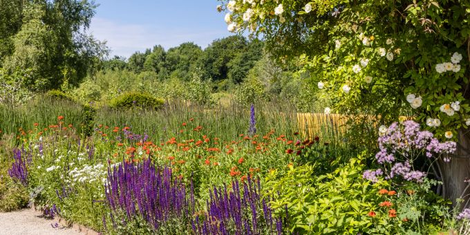 Heimische Pflanzen sind eine Grundvoraussetzung für mehr Biodiversität im Garten. Garten mit heimischen Pflanzen