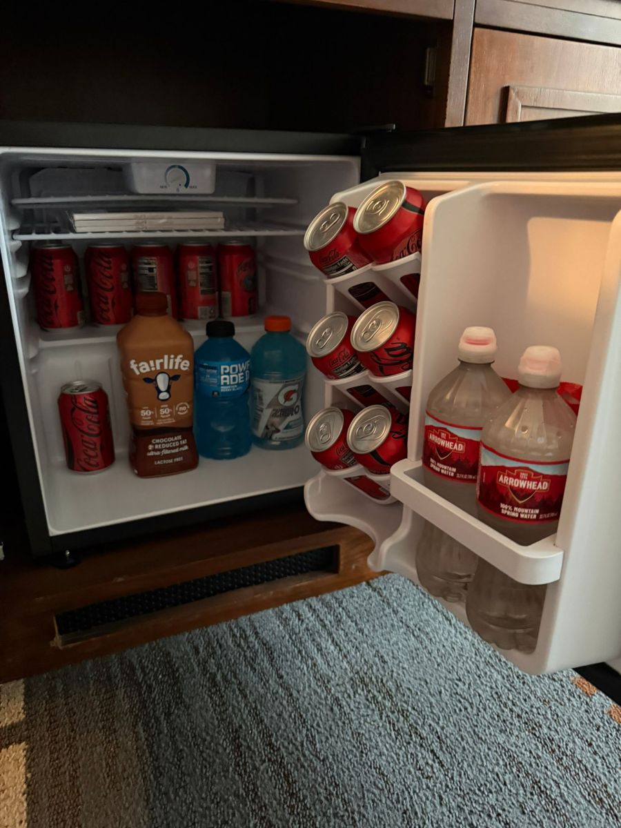 Auch der Kühlschrank im Hotelzimmer ist aufgefüllt.