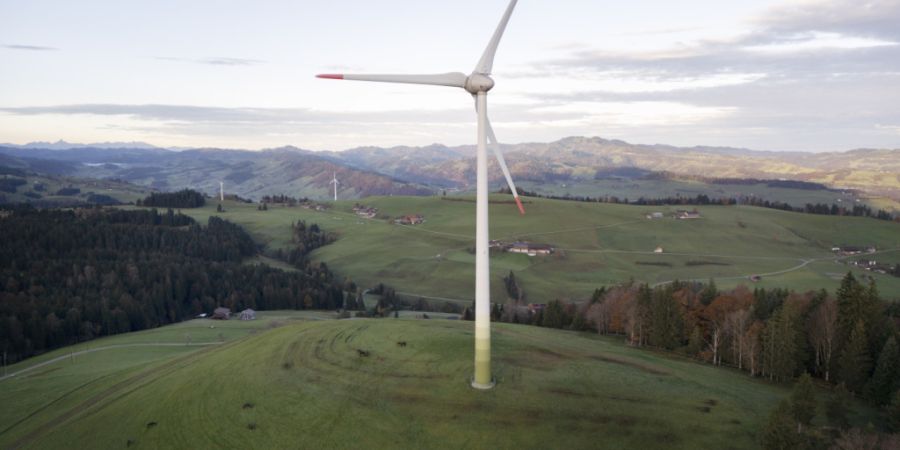 Ein Forschungsteam zeigt, dass bei Windrädern ein Mini-Stromverlust Millionen von Vögeln retten könnte. (Symbolbild)