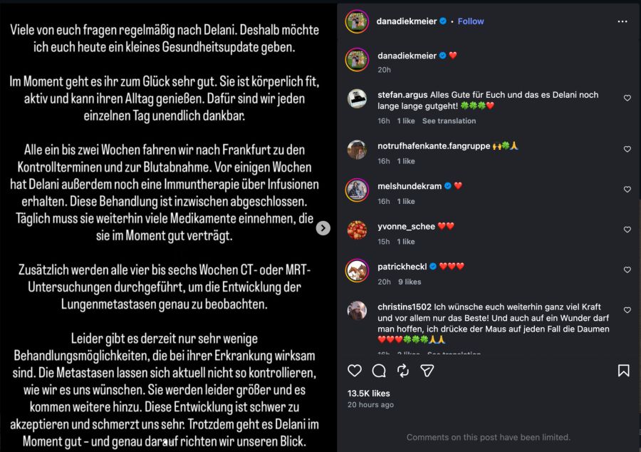 Gesundheitszustand Delani Diekmeier