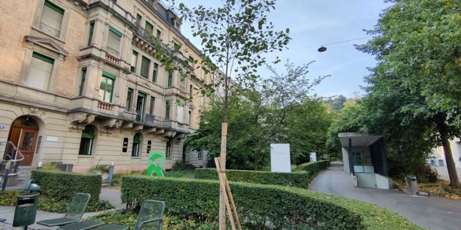 Die Stadt St. Gallen fördert die Pflanzung von einheimischen Bäumen auf dem Stadtgebiet.