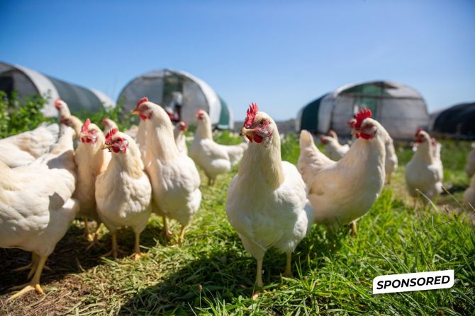 Tierschutz