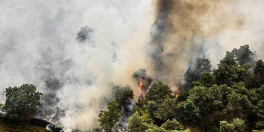 Im Naturschutzgebiet De Rosmolen wütet ein Großbrand. Foto: Rob Engelaar/ANP/dpa
