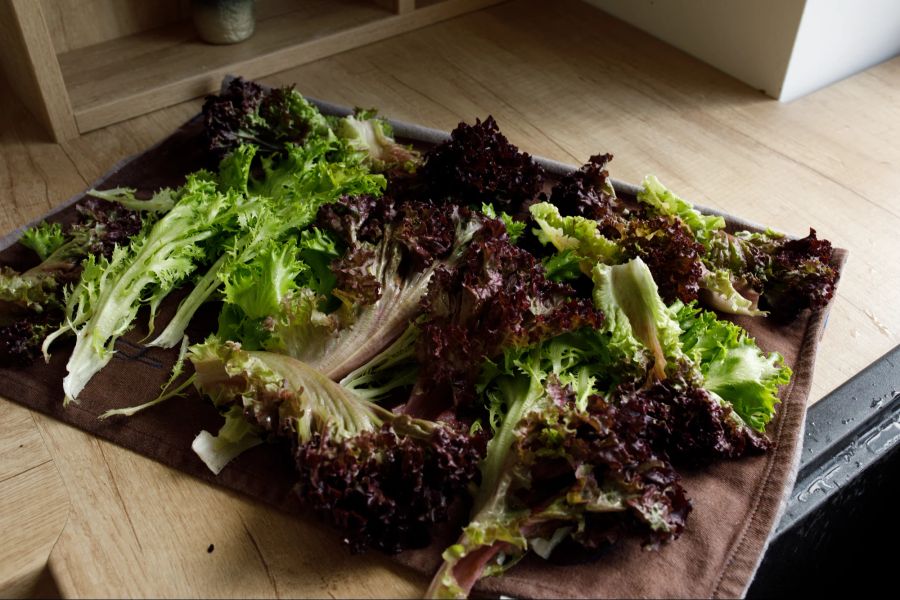 Salat auf Geschirrtuch