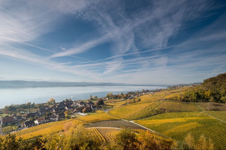 Mont Vully Herbst