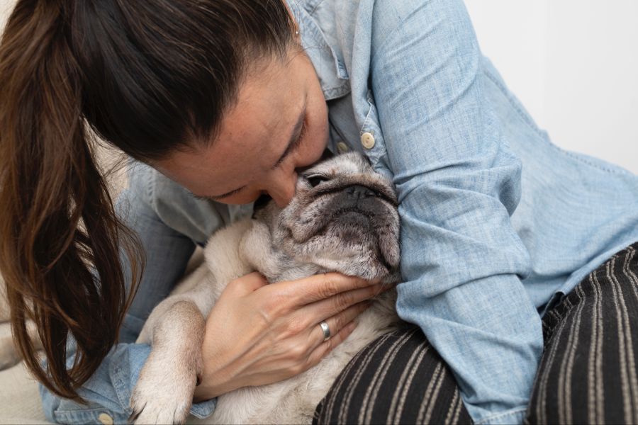 hässlichste hunderassen