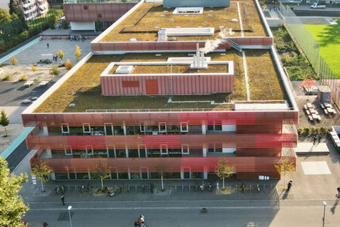 Primarschule Allschwil Gartenhof