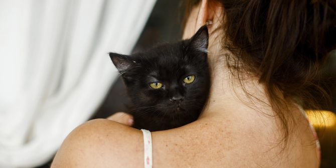 Schwarze Katze, Frau