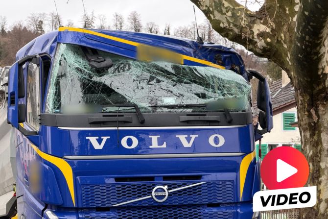 Lastwagen Unfall Baum