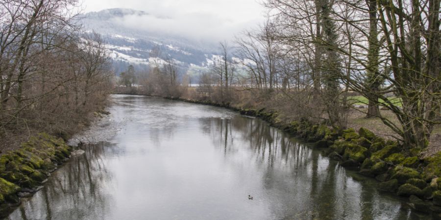 An der Muota und ihren Zuflüssen sind in den nächsten Monaten ökologische Massnahmen geplant. (Archivbild)