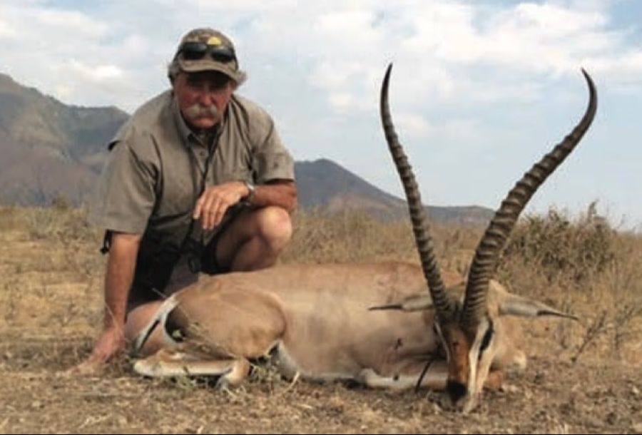 Bei einer Jagd in Gabun ist Ernie Dosio von Waldelefanten niedergetrampelt worden.