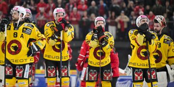SC Bern
