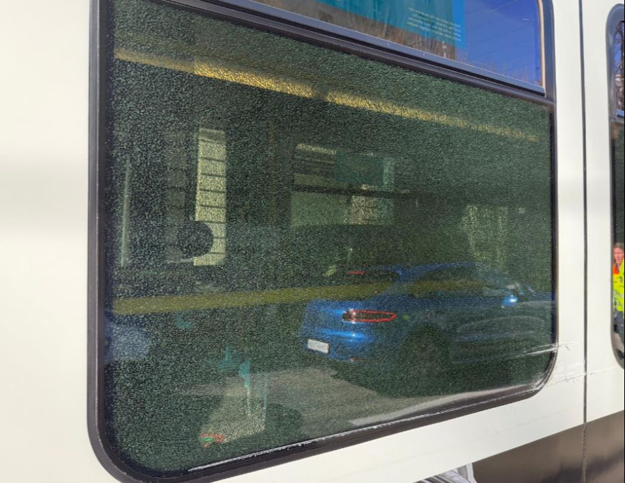 Mehrere Scheiben gingen bei der Kollision in die Brüche.