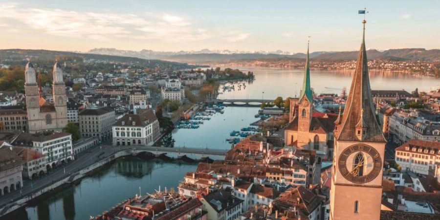 Vor allem in Zürich, eine Stadt die eher begrünt, ist mit den Tierchen zu rechnen.