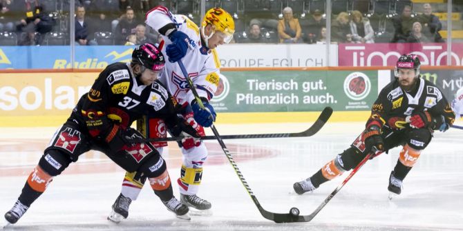 SC Bern