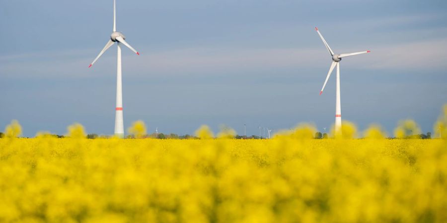 Die Netzagentur verzeichnet derzeit einen Boom bei der Genehmigung neuer Windenergieanlagen an Land. (Symbolbild)