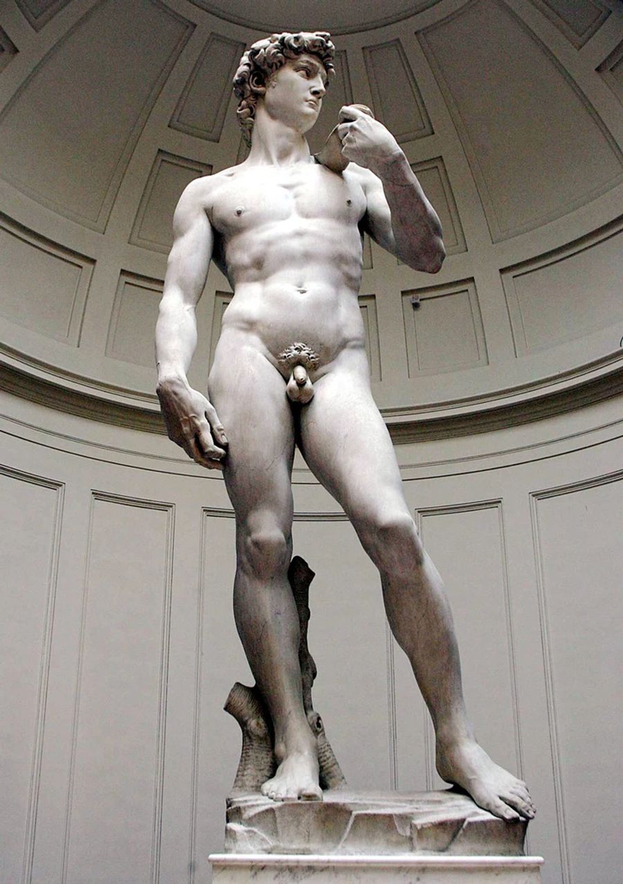 Michelangelo David Statue Kunst