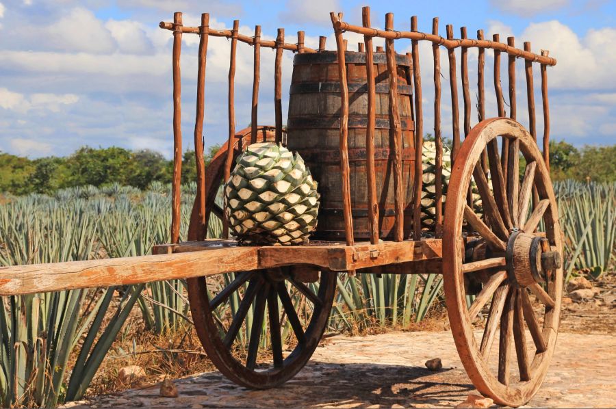 Alter mexikanischer Anhänger, Agave