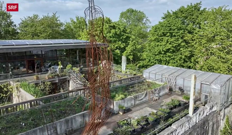 Auf dem Dach des Bunkers befindet sich der Garten.