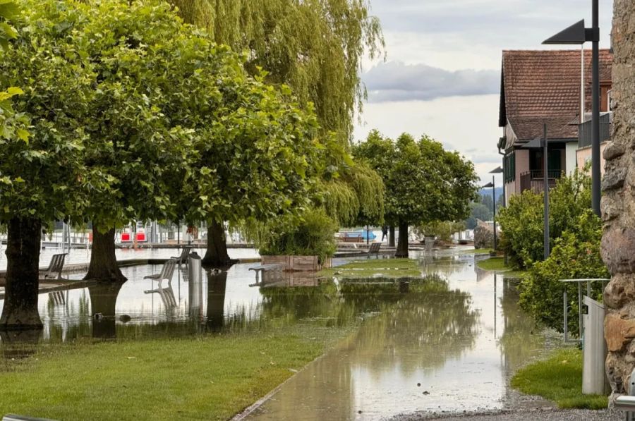 Nach dem vielen Regen habe man den Kunden eine Freude bereiten wollen, heisst es. (Bild vom Bodensee, Steckborn TG)