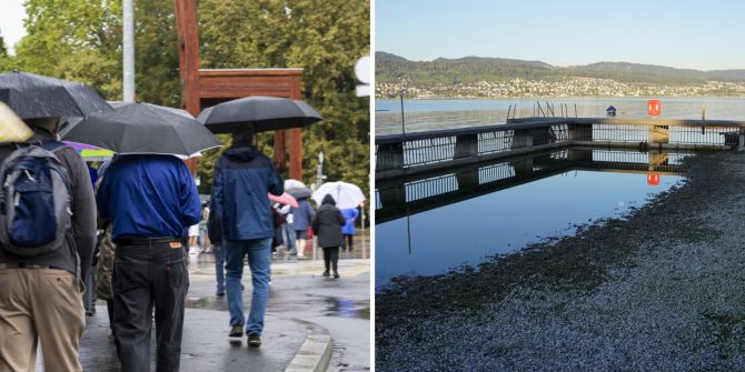 regen