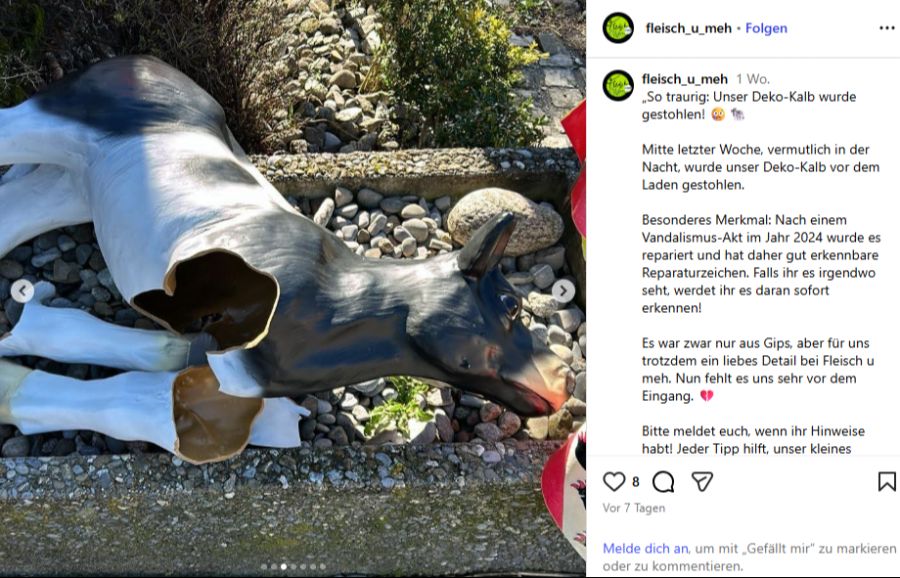 Bereits 2024 wurde das Deko-Kalb beschädigt.