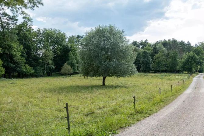 Biberstein AG
