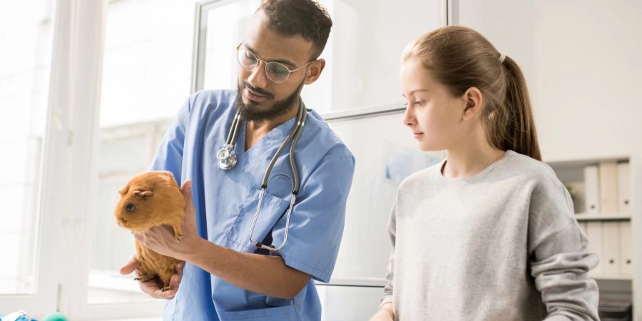 Mädchen mit Meerschweinchen beim Tierarzt