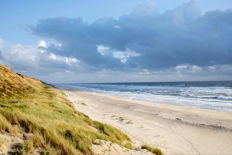 Sylt Strand Meer Dünen