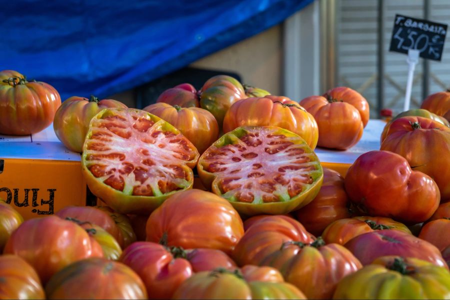 Tomaten, Katalonien