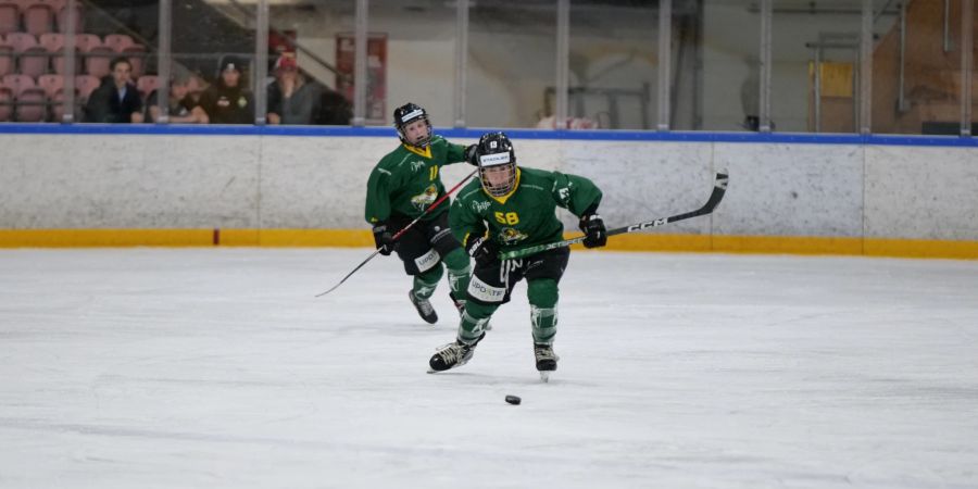 Die HC Thurgau Ladies beim Spiel gegen Hockey Club Ladies Lugano