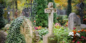 Grabstein Kreuz Friedhof Efeu Pflanzen
