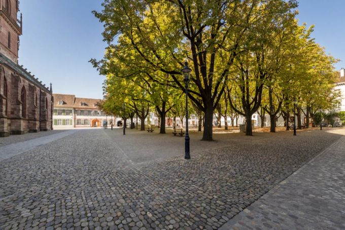 200 Bäume sind in Basel in einem schlechten Zustand wegen des Klimawandels. (Symbolbild) 200 Bäume