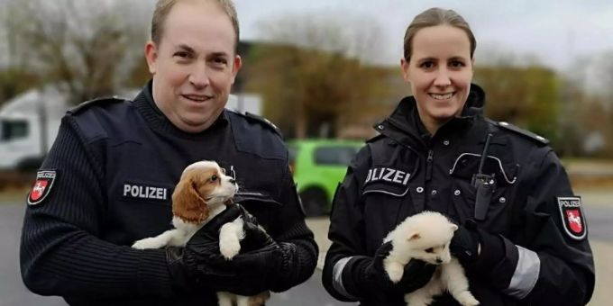 Polizeikommissarin Farina Nolde und Polizeikommissar Torsten Schrader halten während eines Polizeieinsatzes in Lahe zwei Hundewelpen. Foto: Moritz Ahrens/Polizeidirektion Hannover/dpa Polizeikommissarin Farina Nolde und Polizeikommissar Torsten Schrader halten während eines Polizeieinsatzes in Lahe zwei Hundewelpen. Foto: Moritz Ahrens/Polizeidirektion Hannover/dpa
